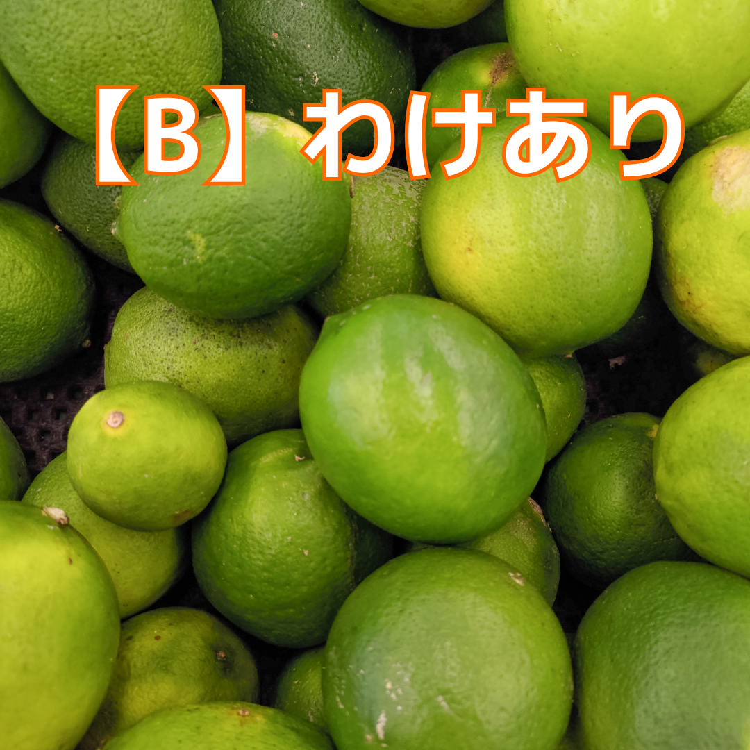 瀬戸内 大長グリーンレモン(B級品・形不揃い) 約1kg