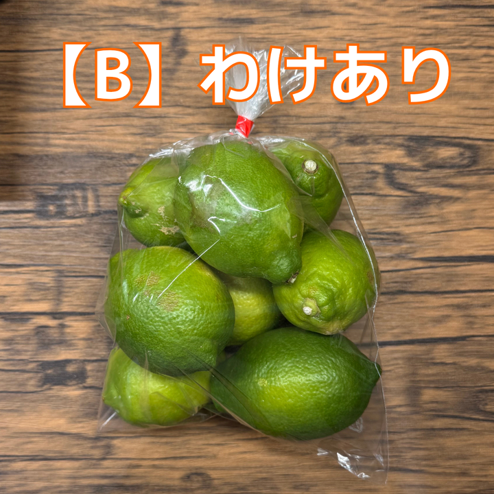 瀬戸内 大長グリーンレモン(B級品・形不揃い) 約1kg