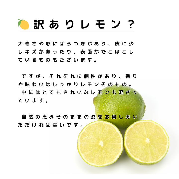 瀬戸内 大長グリーンレモン(B級品・形不揃い) 約1kg