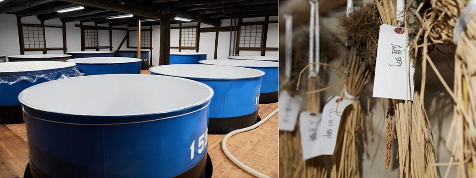 西條鶴の酒蔵内部と醸造タンク