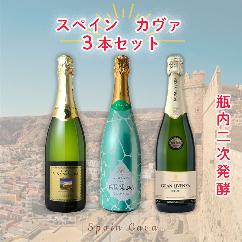 シャンパーニュ、カバ、スパーク　3本セット　750ml スペイン/カバ 瓶内二次発酵の本格スパークリング3本セット – 酒