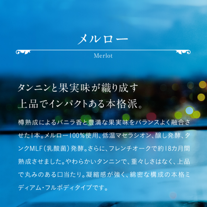 【三次ワイナリー】TOMOE メルロー2020《瓶750ml》