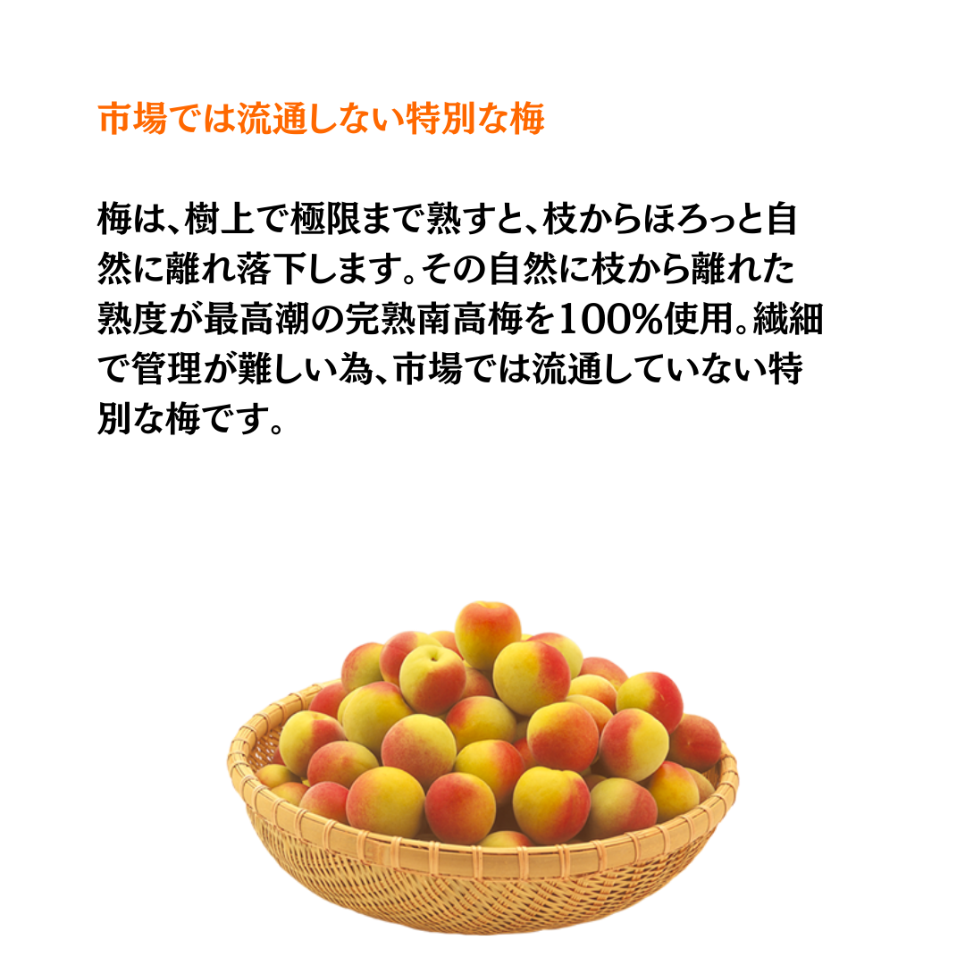 CHOYA 梅ワインヌーボー2026 700ml | 梅ワイン 甘味果実酒