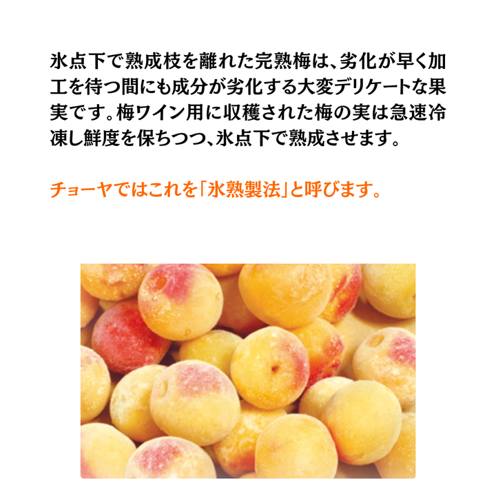 CHOYA 梅ワインヌーボー2026 700ml | 梅ワイン 甘味果実酒