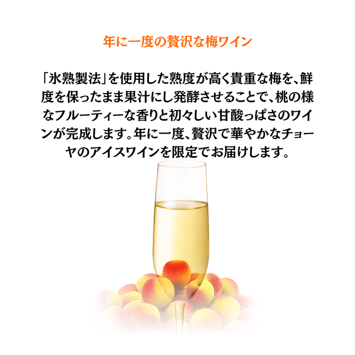 CHOYA 梅ワインヌーボー2026 700ml | 梅ワイン 甘味果実酒
