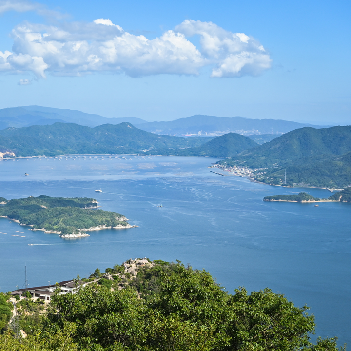 【広島県呉市大長産】 大長　いしじみかん 10キロ  中生（なかて） 2Lサイズ ～贅沢な大粒みかんをお手頃価格で～