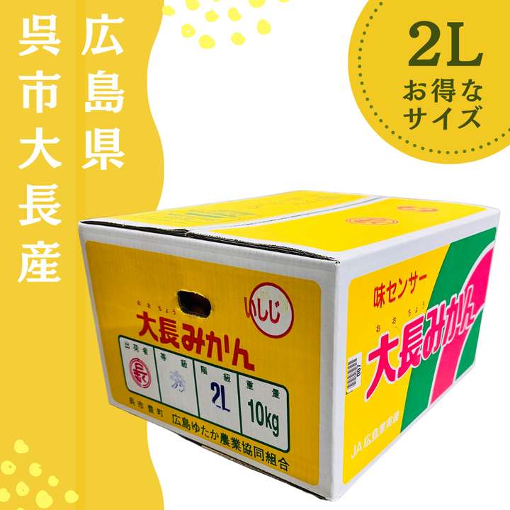 12月20日ごろ出荷予定【広島県呉市大長産】 大長　いしじみかん 10キロ 青秀 中生（なかて） 2Lサイズ ～贅沢な大粒みかんをお手頃価格で～