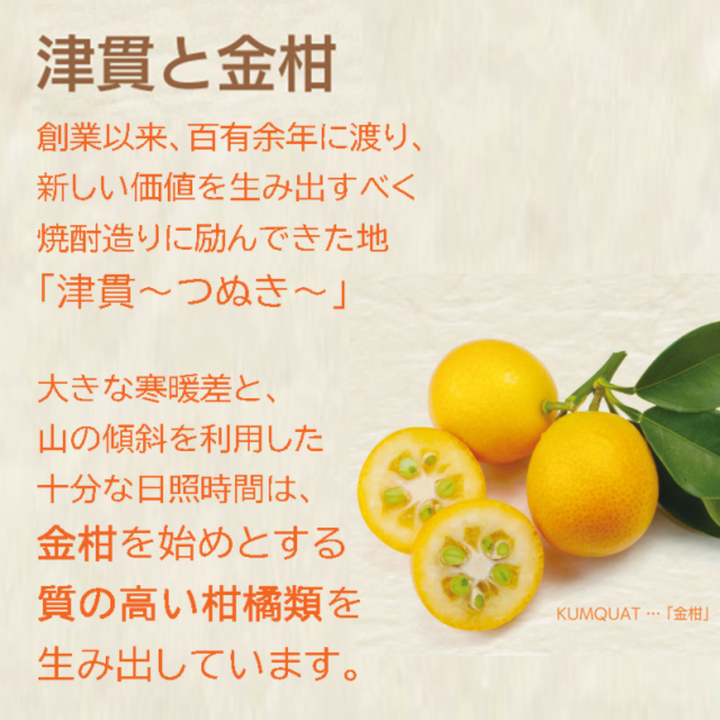 【本坊酒造】TSUNUKI KUMQUAT (ツヌキ カムクワット) 40度 700ml  | 金柑リキュール