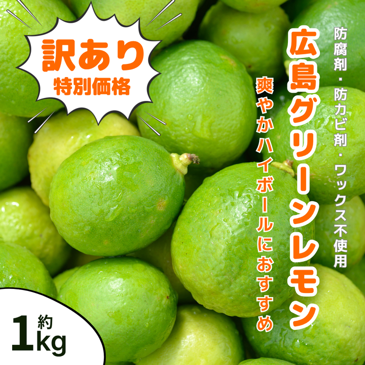 세토우치 오초 레몬(B급 상품·모양 불균일) 약 1kg