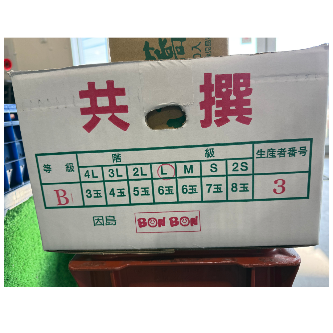 【広島県因島産】黒皮小玉スイカ Lサイズ（約1.5kg）
