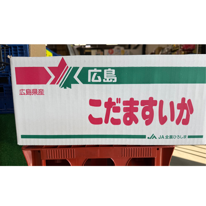 【広島県因島産】黒皮小玉スイカ Lサイズ（約1.5kg）