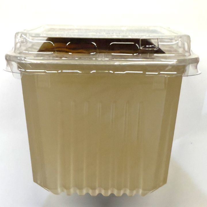 【広島・高野食品製造】国産天草100％のところてん