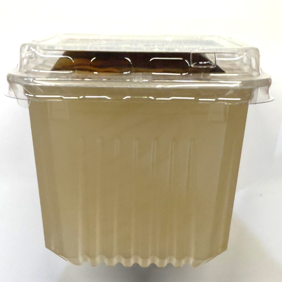 南房総産　天草　ところてん　20キロ 2c63c6f59b49df6453c34c2234cbd4