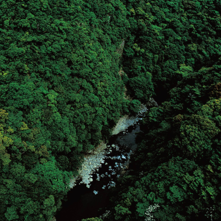 雲海 OLD SECRET（そば）700ml 30度｜10年以上樽熟成の長期熟成スピリッツ